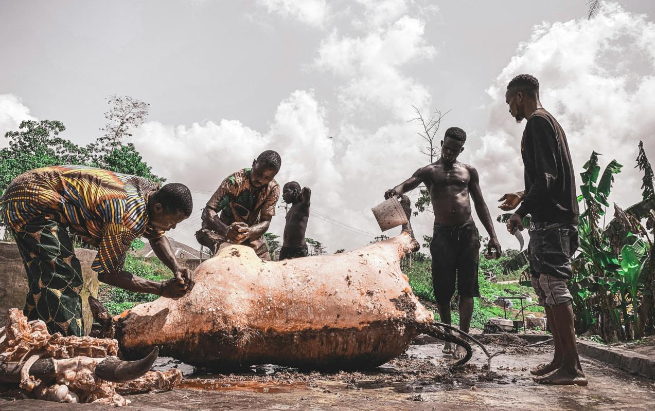 A DEEP DIVE INTO THE NIGERIAN MEAT PROCESSING SECTOR